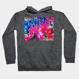 Color Splash Hoodie